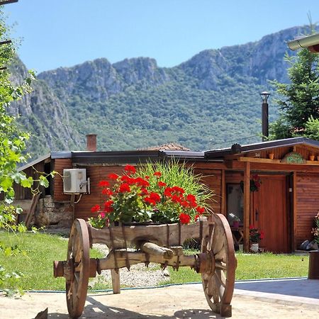 Konak -Guest House -Ramonda Serbika Ni エクステリア 写真