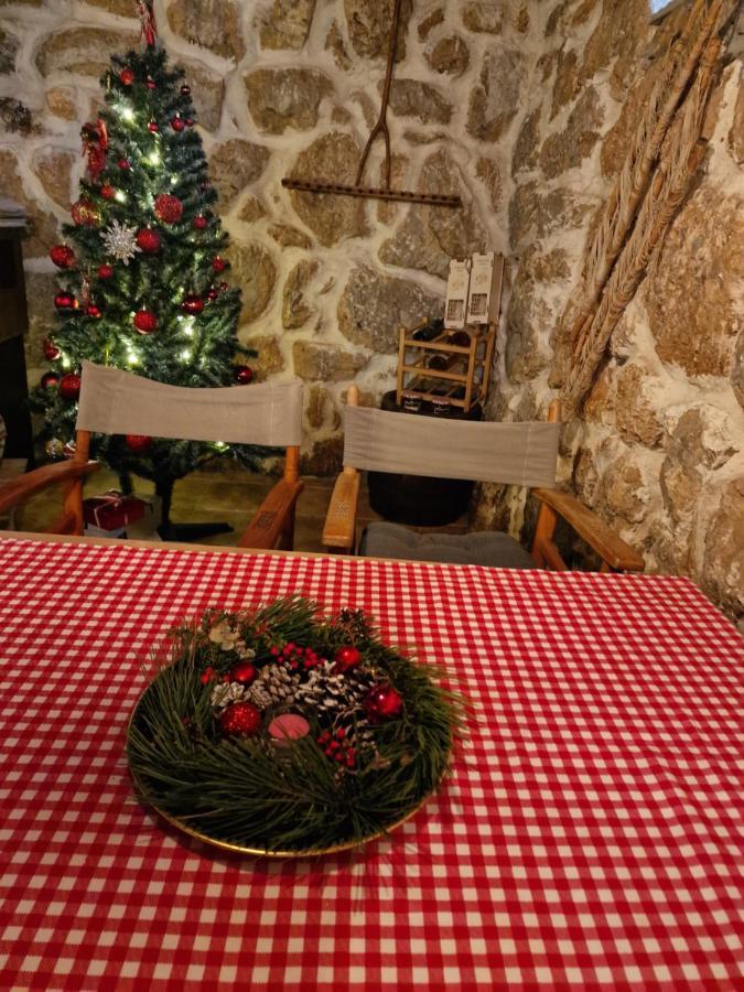 Konak -Guest House -Ramonda Serbika Ni エクステリア 写真