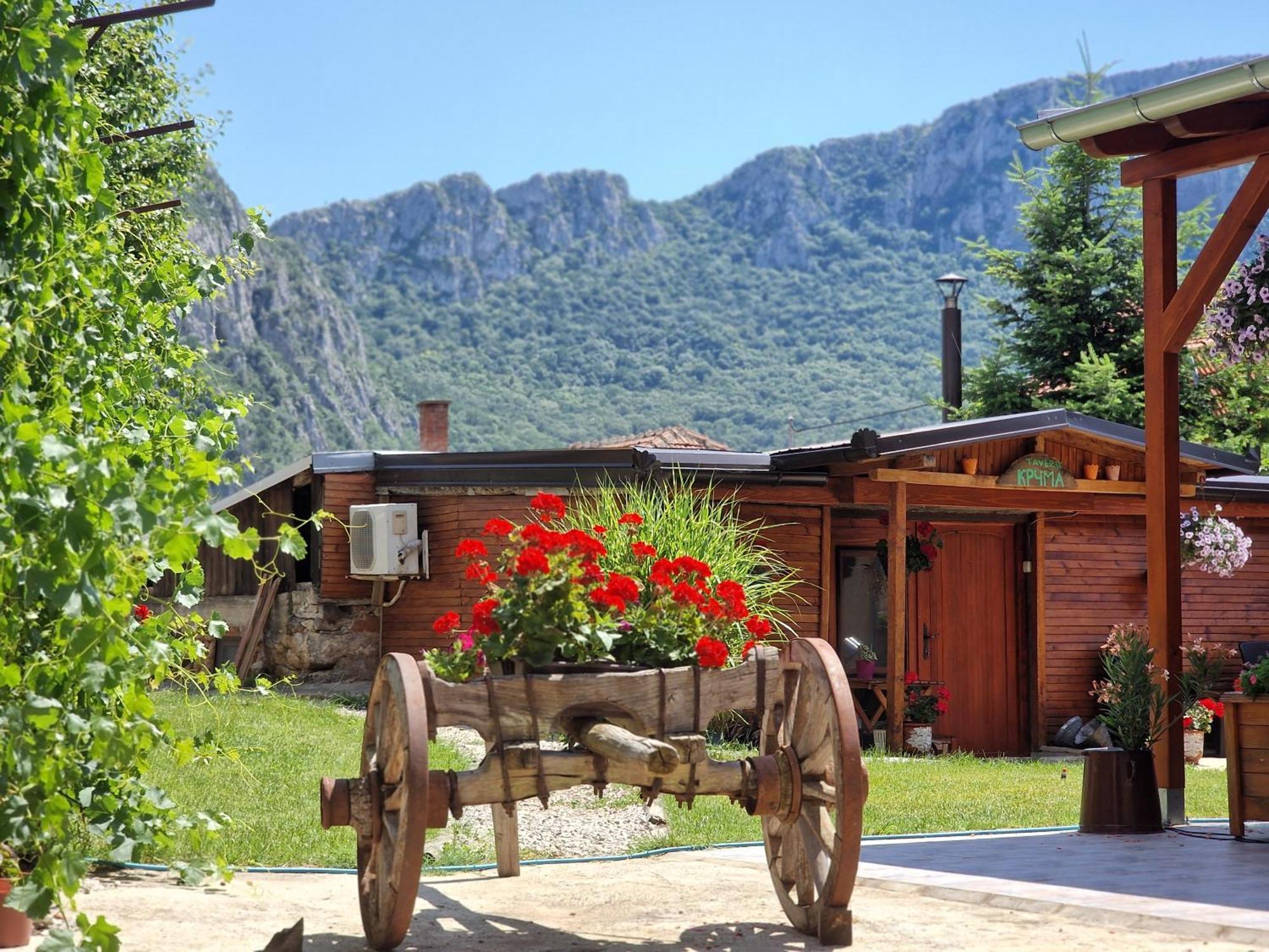 Konak -Guest House -Ramonda Serbika Ni エクステリア 写真